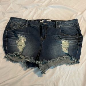 Torrid shorts